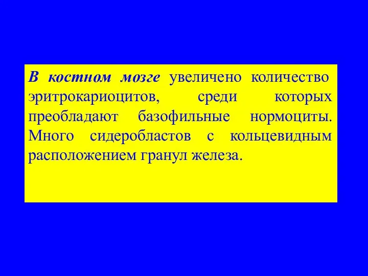 В костном мозге увеличено количество эритрокариоцитов, среди которых преобладают базофильные