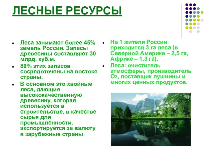 ЛЕСНЫЕ РЕСУРСЫ Леса занимают более 45% земель России. Запасы древесины составляют 30 млрд.