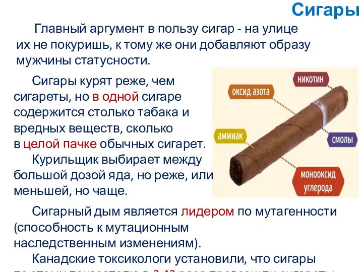 Сигары Сигары курят реже, чем сигареты, но в одной сигаре