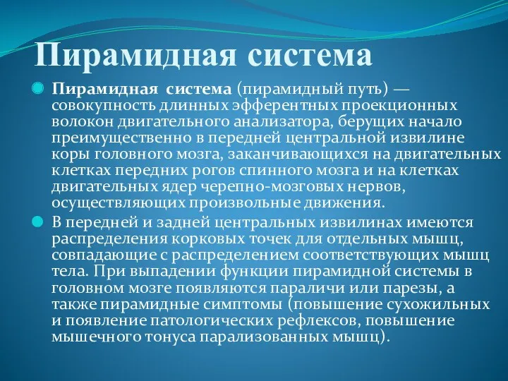 Пирамидная система Пирамидная система (пирамидный путь) — совокупность длинных эфферентных