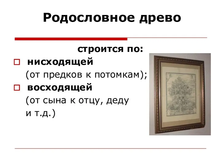 Родословное древо строится по: нисходящей (от предков к потомкам); восходящей