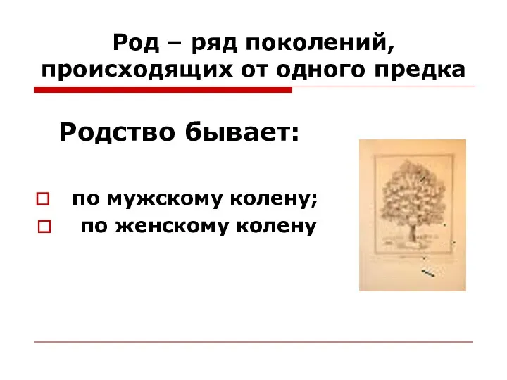 Род – ряд поколений, происходящих от одного предка Родство бывает: по мужскому колену; по женскому колену