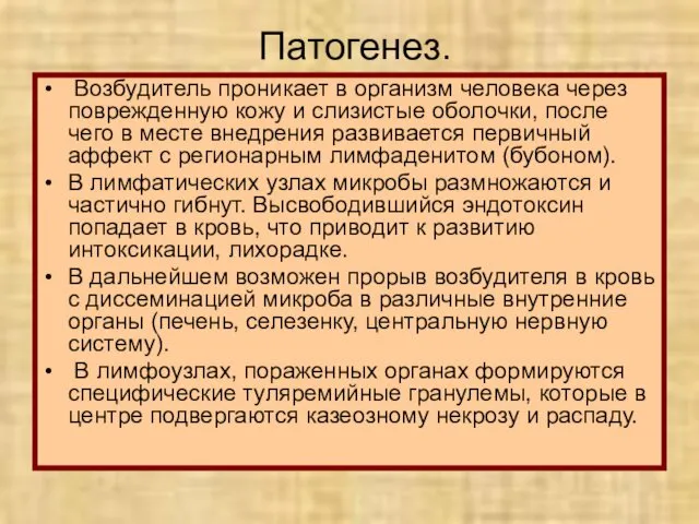 Патогенез. Возбудитель проникает в организм человека через поврежденную кожу и