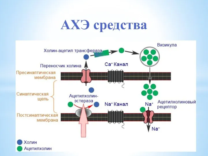 АХЭ средства