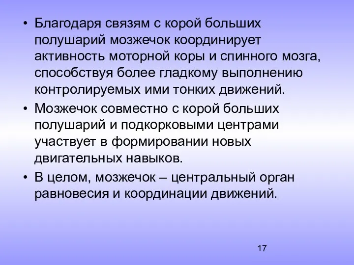 Благодаря связям с корой больших полушарий мозжечок координирует активность моторной