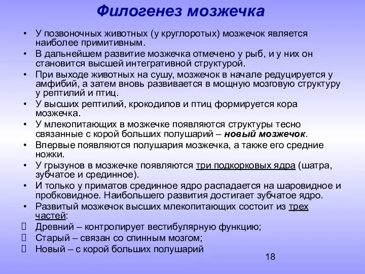 Филогенез мозжечка У позвоночных животных (у круглоротых) мозжечок является наиболее