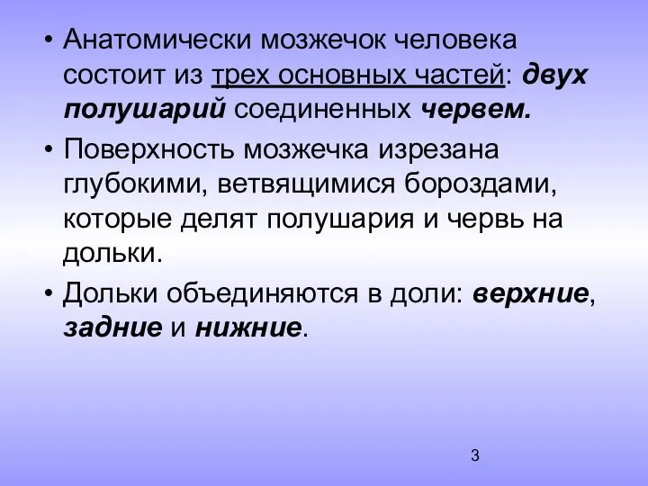 Анатомически мозжечок человека состоит из трех основных частей: двух полушарий соединенных червем. Поверхность