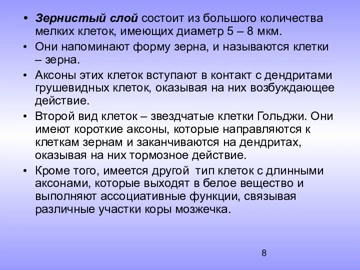 Зернистый слой состоит из большого количества мелких клеток, имеющих диаметр 5 – 8