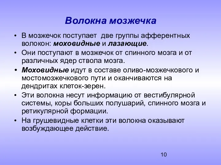 Волокна мозжечка В мозжечок поступает две группы афферентных волокон: моховидные и лазающие. Они