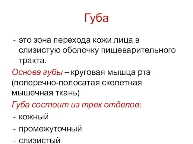 Губа это зона перехода кожи лица в слизистую оболочку пищеварительного