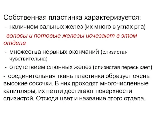 Собственная пластинка характеризуется: наличием сальных желез (их много в углах