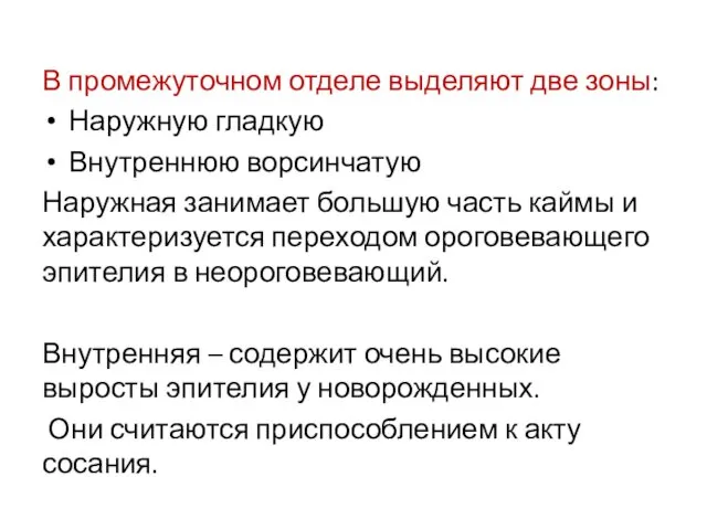 В промежуточном отделе выделяют две зоны: Наружную гладкую Внутреннюю ворсинчатую