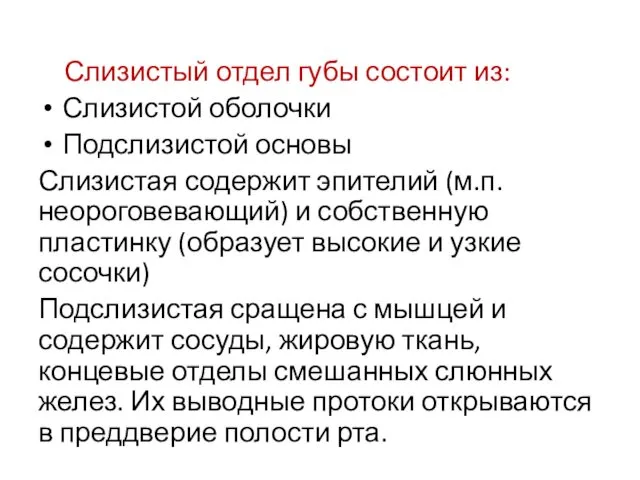 Слизистый отдел губы состоит из: Слизистой оболочки Подслизистой основы Слизистая