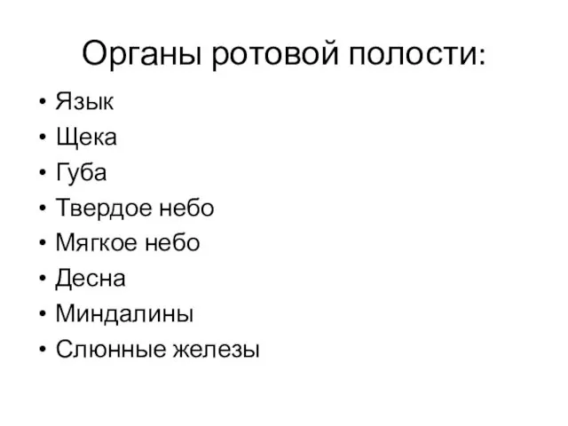 Органы ротовой полости: Язык Щека Губа Твердое небо Мягкое небо Десна Миндалины Слюнные железы