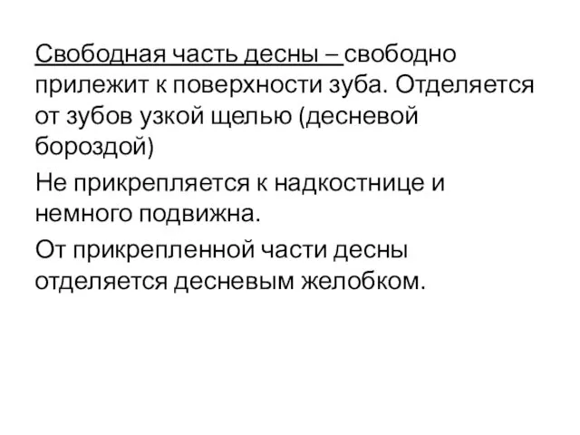 Свободная часть десны – свободно прилежит к поверхности зуба. Отделяется