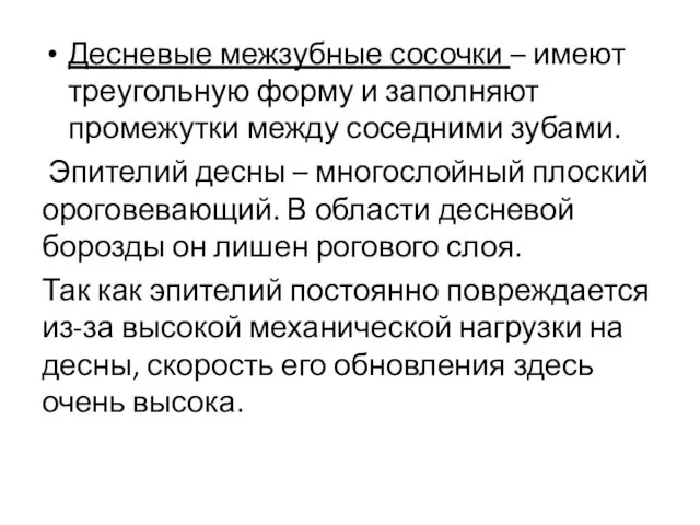 Десневые межзубные сосочки – имеют треугольную форму и заполняют промежутки