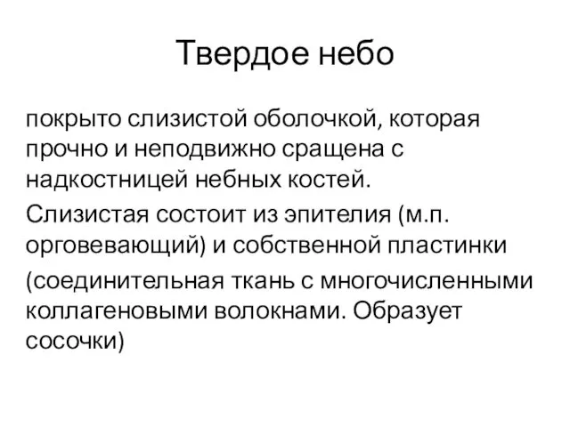 Твердое небо покрыто слизистой оболочкой, которая прочно и неподвижно сращена