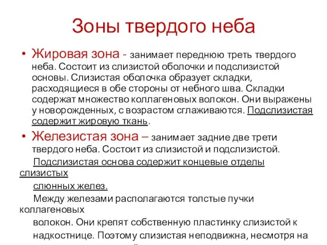 Зоны твердого неба Жировая зона - занимает переднюю треть твердого