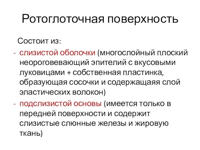 Ротоглоточная поверхность Состоит из: слизистой оболочки (многослойный плоский неороговевающий эпителий