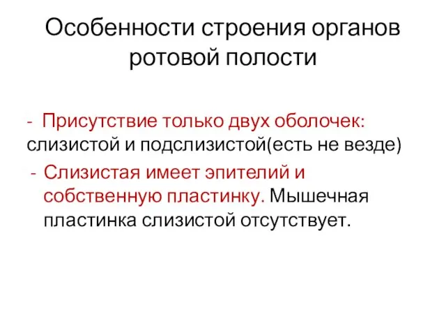 Особенности строения органов ротовой полости - Присутствие только двух оболочек: