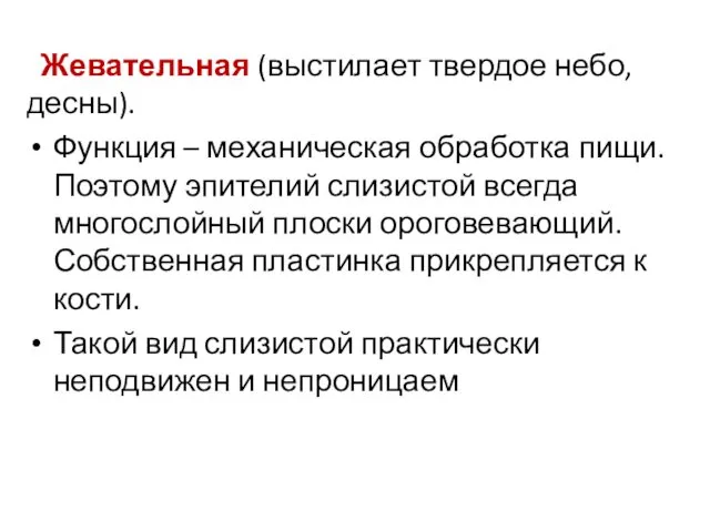 Жевательная (выстилает твердое небо, десны). Функция – механическая обработка пищи.