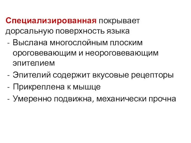 Специализированная покрывает дорсальную поверхность языка Выслана многослойным плоским ороговевающим и