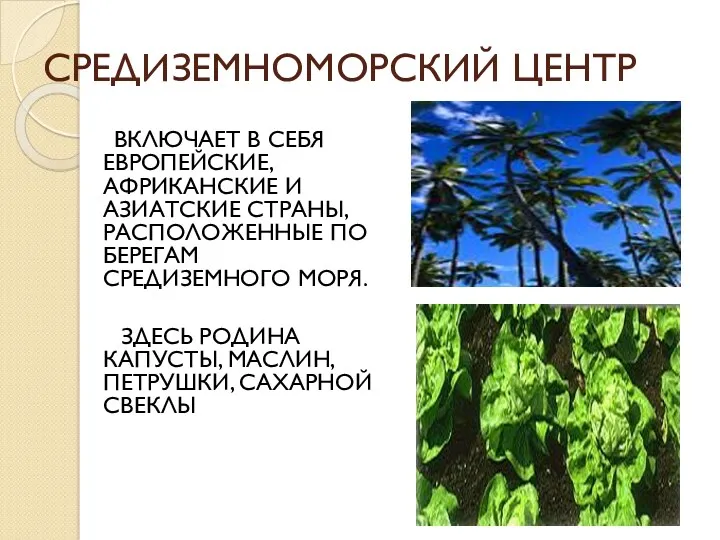 СРЕДИЗЕМНОМОРСКИЙ ЦЕНТР ВКЛЮЧАЕТ В СЕБЯ ЕВРОПЕЙСКИЕ, АФРИКАНСКИЕ И АЗИАТСКИЕ СТРАНЫ,