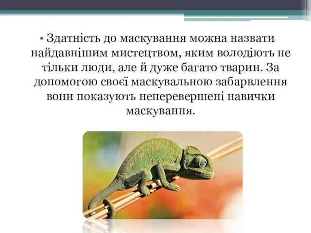 Здатність до маскування можна назвати найдавнішим мистецтвом, яким володіють не