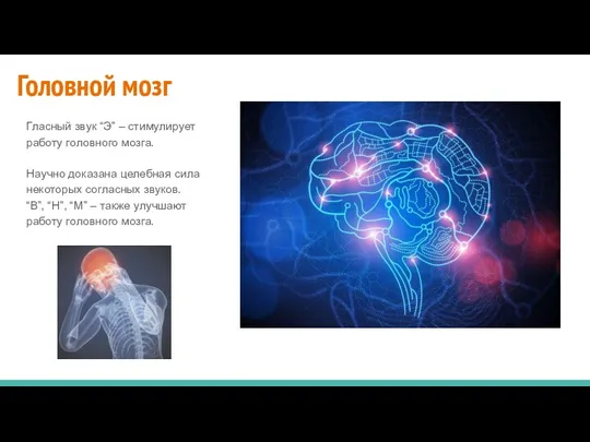 Головной мозг Гласный звук “Э” – стимулирует работу головного мозга. Научно доказана целебная