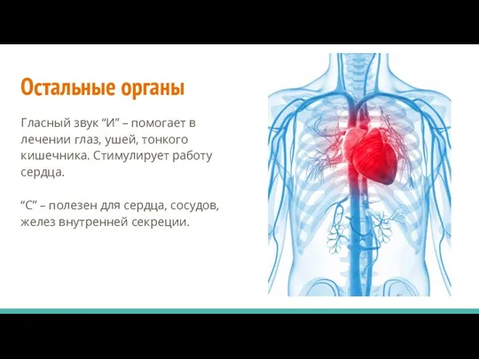 Остальные органы Гласный звук “И” – помогает в лечении глаз,