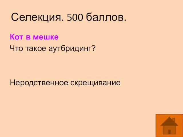 Селекция. 500 баллов. Кот в мешке Что такое аутбридинг? Неродственное скрещивание