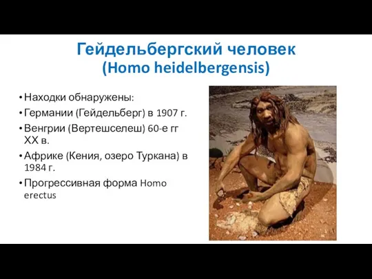 Гейдельбергский человек (Homo heidelbergensis) Находки обнаружены: Германии (Гейдельберг) в 1907