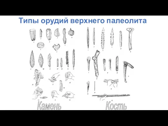 Типы орудий верхнего палеолита Камень Кость