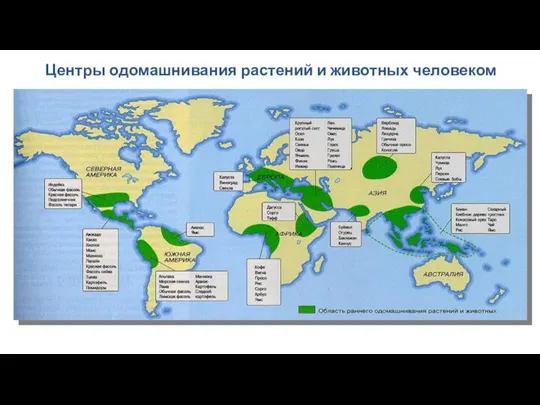 Центры одомашнивания растений и животных человеком