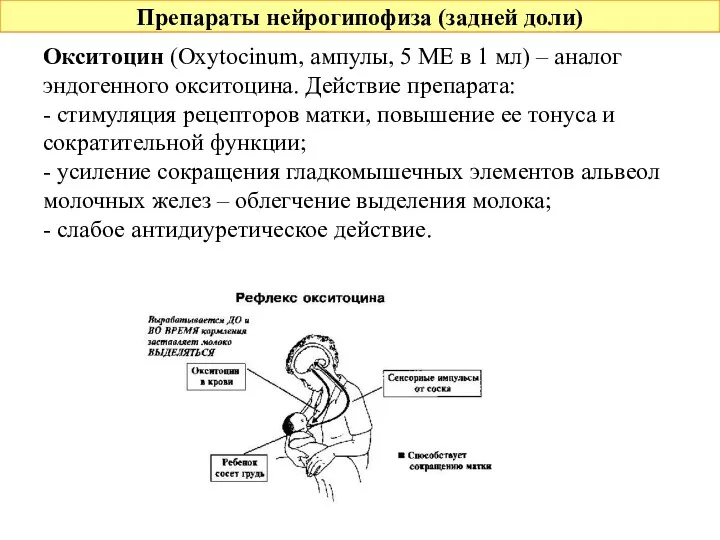 Препараты нейрогипофиза (задней доли) Окситоцин (Oxytocinum, ампулы, 5 МЕ в 1 мл) –