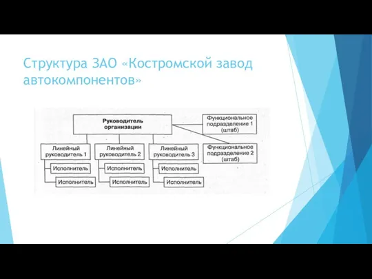 Структура ЗАО «Костромской завод автокомпонентов»