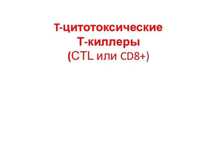 T-цитотоксические Т-киллеры (CTL или CD8+)