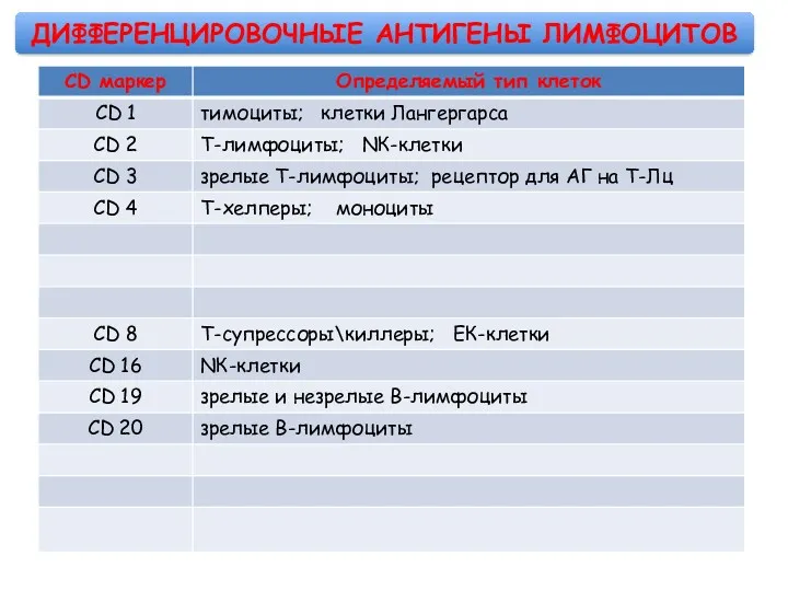 ДИФФЕРЕНЦИРОВОЧНЫЕ АНТИГЕНЫ ЛИМФОЦИТОВ