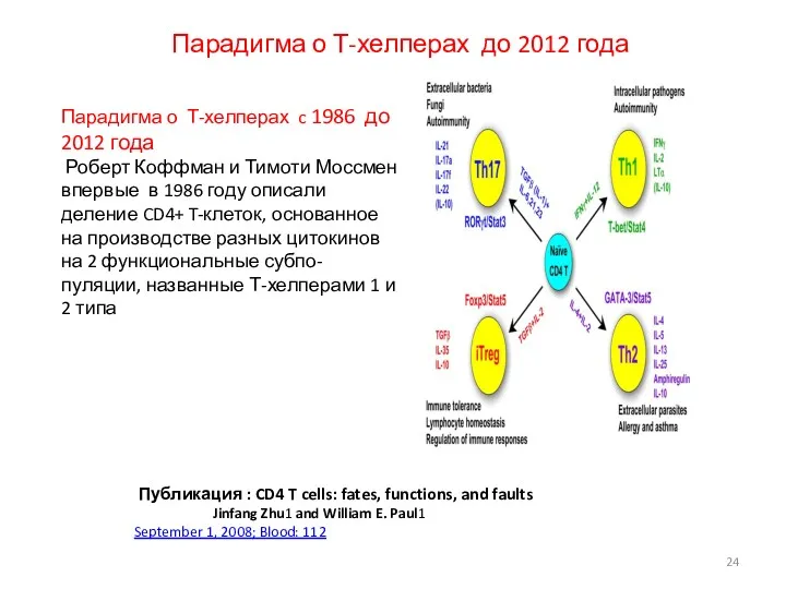 Парадигма о Т-хелперах до 2012 года Публикация : CD4 T