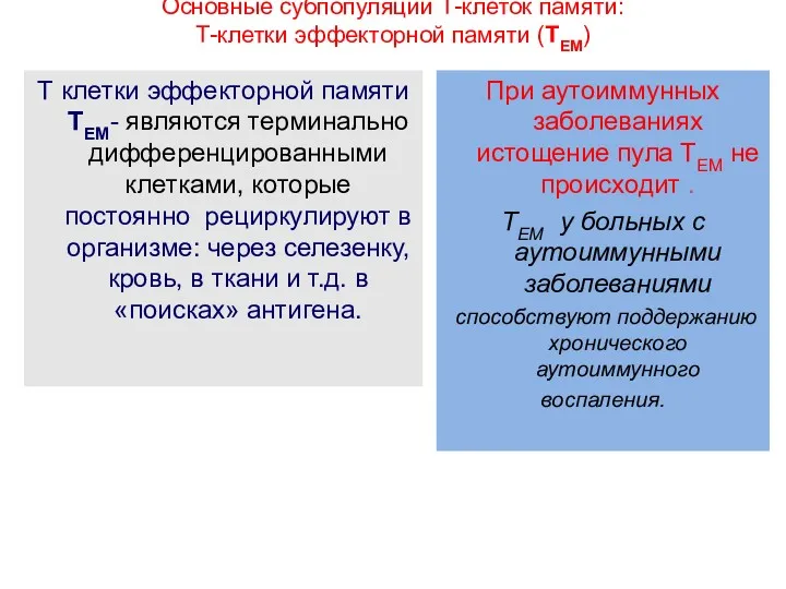 Основные субпопуляции Т-клеток памяти: Т-клетки эффекторной памяти (ТЕМ) Т клетки