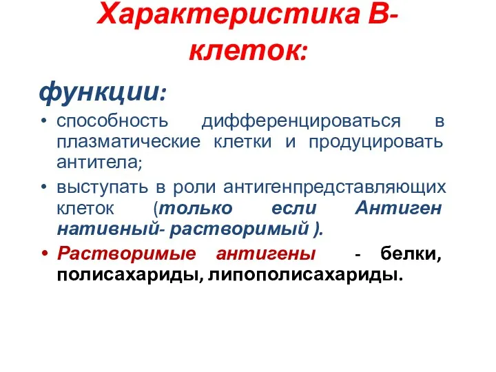 Характеристика В-клеток: функции: способность дифференцироваться в плазматические клетки и продуцировать