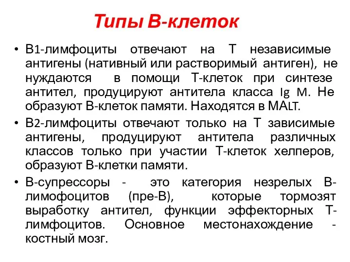 Типы В-клеток В1-лимфоциты отвечают на Т независимые антигены (нативный или