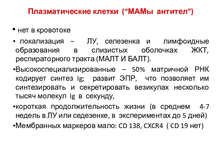 Плазматические клетки (“МАМы антител”) нет в кровотоке локализация – ЛУ,