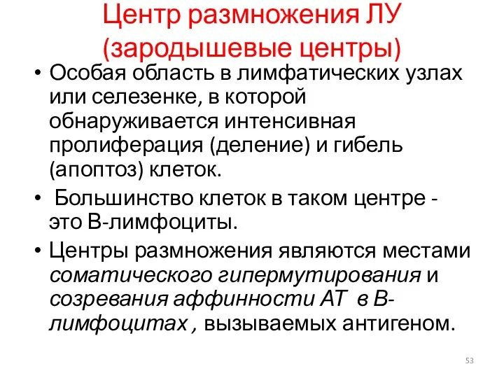 Центр размножения ЛУ(зародышевые центры) Особая область в лимфатических узлах или