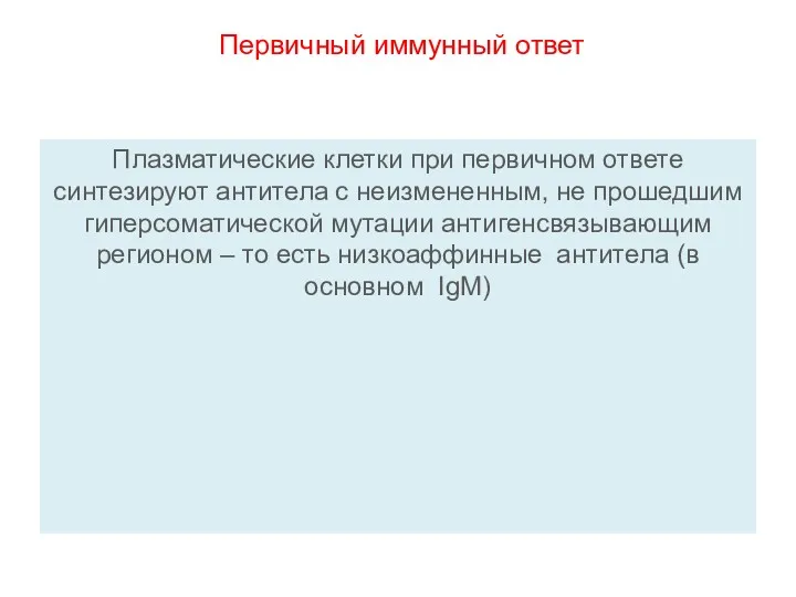 Первичный иммунный ответ Плазматические клетки при первичном ответе синтезируют антитела