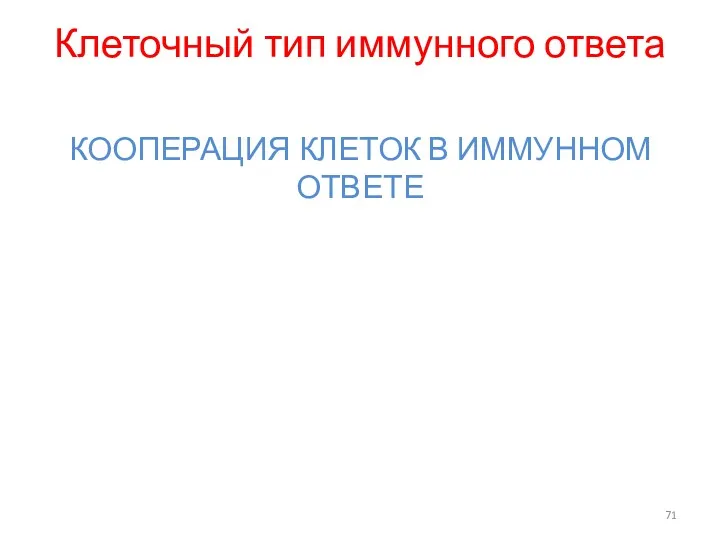 Клеточный тип иммунного ответа КООПЕРАЦИЯ КЛЕТОК В ИММУННОМ ОТВЕТЕ