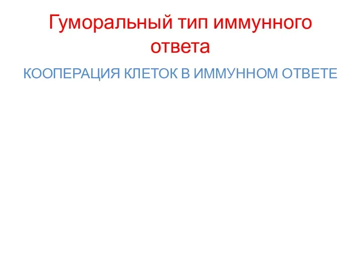 Гуморальный тип иммунного ответа КООПЕРАЦИЯ КЛЕТОК В ИММУННОМ ОТВЕТЕ