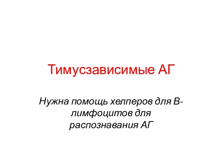 Тимусзависимые АГ Нужна помощь хелперов для В-лимфоцитов для распознавания АГ