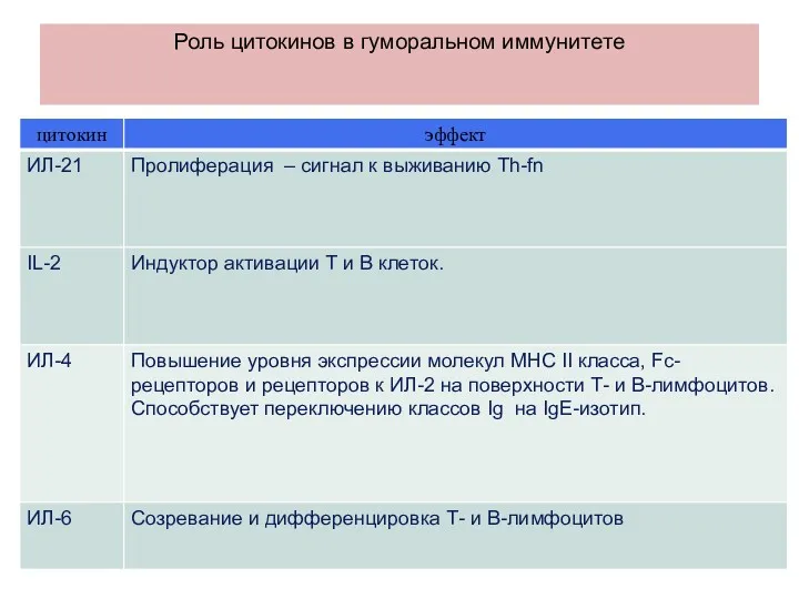 Роль цитокинов в гуморальном иммунитете