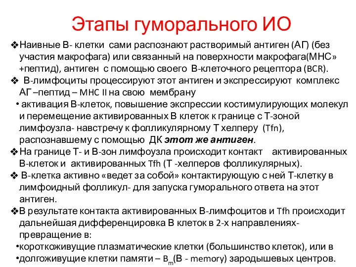 Этапы гуморального ИО Наивные В- клетки сами распознают растворимый антиген